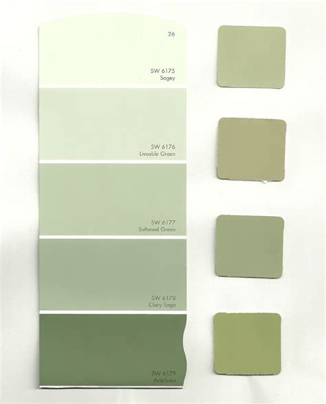 Sage Green Wall Color Ideas