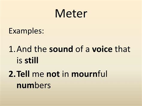 What Does Meter Mean In The Dictionary at James Giles blog