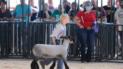 Iowa State Fair 2024 Livestock Show Schedule - Delora Kendre