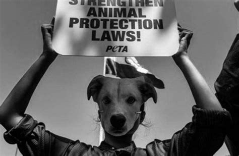 PETA PETITIONS US GOVERNMENT FOR EXPANDED ANIMAL RIGHTS - Weekly World News