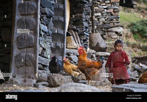 Nepali boy hi-res stock photography and images - Alamy