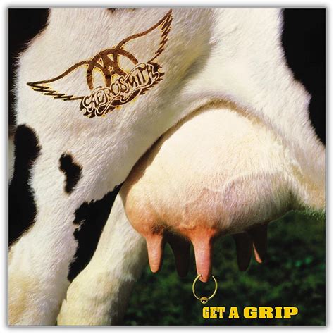 Aerosmith - Get A Grip 2LP | Musician's Friend