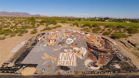 Las Cruces artist continues work on wildlife inspired rock mural at NMSU Golf Course