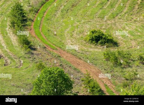 Dry arid path in the Serpentine rock trail, Baltimore, Maryland Stock ...