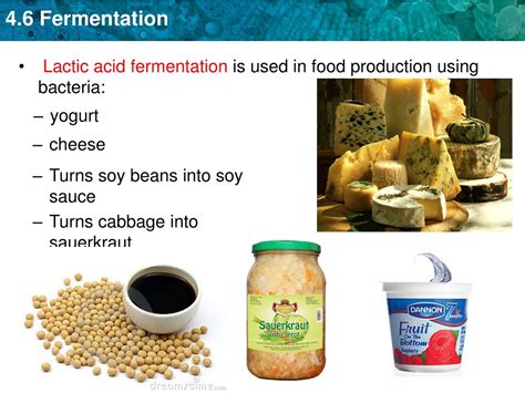 PPT - Set up Cornell Notes on pg. 55 Topic: 4.6 Fermentation Essential Question : PowerPoint ...