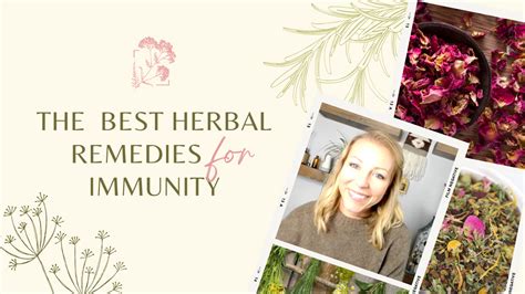 The Best Herbal Products for Immunity — Sky House Herb School