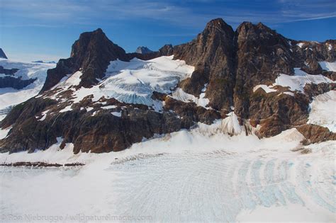 Tongass National Forest | Photos by Ron Niebrugge