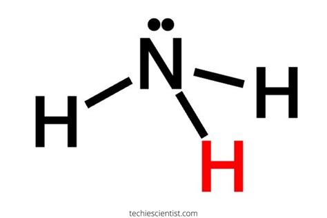 Does NH3 have Hydrogen Bonding - Techiescientist