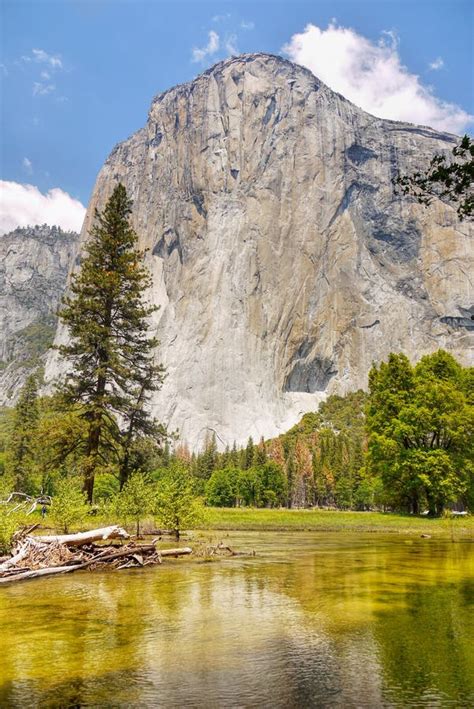 El Capitan, Big Wall, Yosemite Valley, National Park Stock Photo - Image of valley, tourism ...