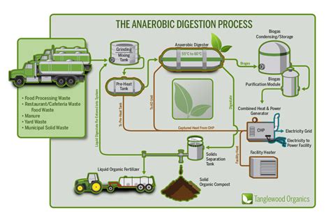 What is the difference between the results of aerobic and anaerobic composting? | Anaerobic ...
