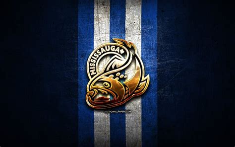 Download wallpapers Mississauga Steelheads, golden logo, OHL, blue ...