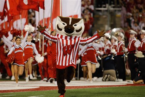 Rusty Raccoon to replace Bucky Badger as UW mascot – The Badger Herald