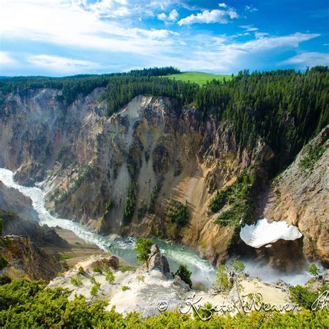 Grand Canyon of the Yellowstone | Yellowstone National Park | UPDATED January 2023 Top Tips ...