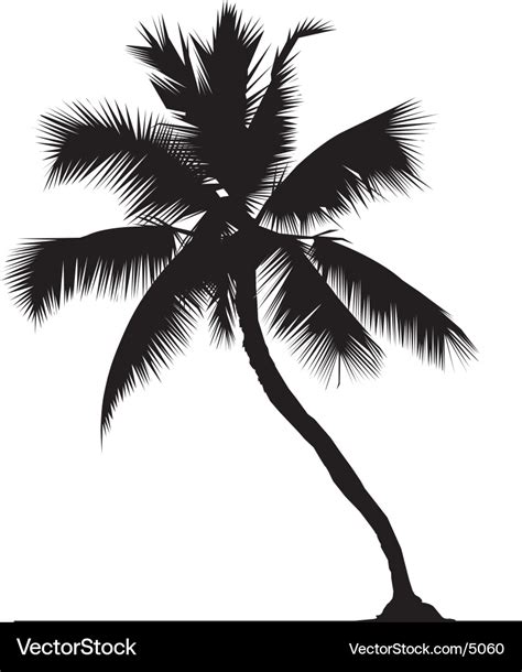 Coconut tree Royalty Free Vector Image - VectorStock