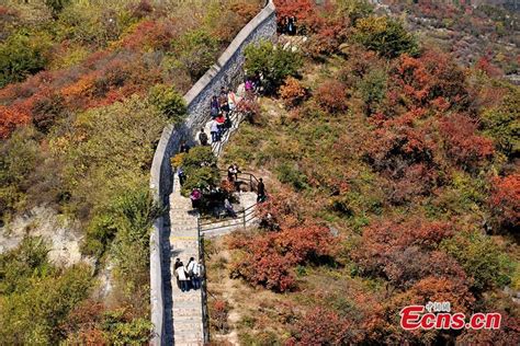 Autumn scenery in Fragrant Hills Park, Beijing (1/6) - Headlines ...