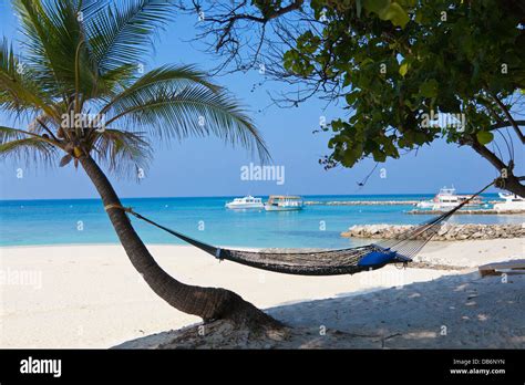 hammock at white sandy beach Maldives Stock Photo - Alamy