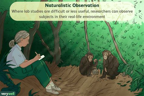 Naturalistic Observation: Definition, Examples, Pros and Cons