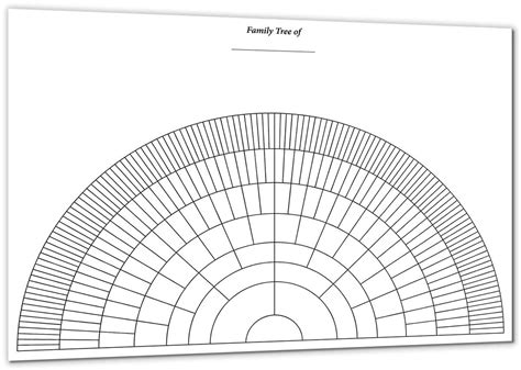 A2 Eight Generation Half Circle Fan Chart - S&N Genealogy Supplies