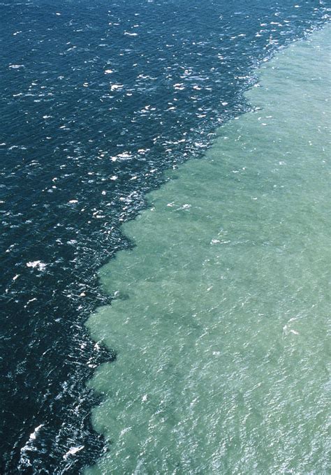 River Fresh Water Meeting Pacific Salt Water Photograph by Kaj R. Svensson