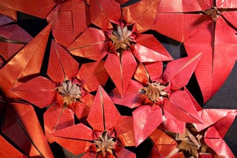 Origami: Poinsettia