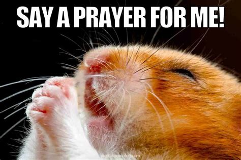 25 Best Prayer Memes From Funny To Faithful