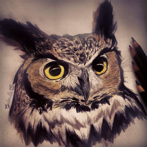 Owl Face Drawing at GetDrawings | Free download