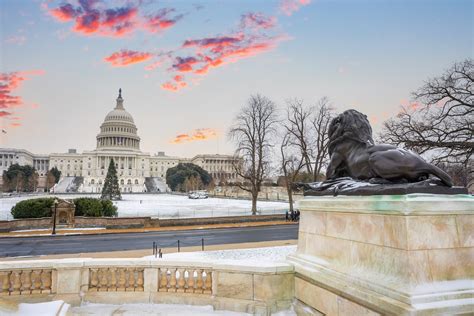 15 Fantastic Things To Do In D.C. This February - Secret DC