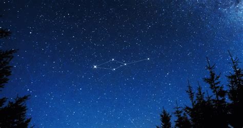 Learn all about Leo Minor constellation | StarRegistration.net