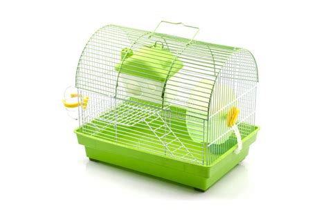 A Yellow Box in a Small Yellow Hamster Cage. Stock Photo - Image of casing, number: 41394432