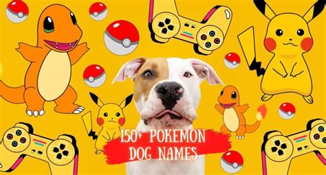 Pokemon Dog Names: The Ultimate List Pokemon Dog Names: Choose the Best ...