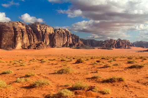 desert landscape - Google Search | Desert landscape photography, Desert landscaping, Landscape