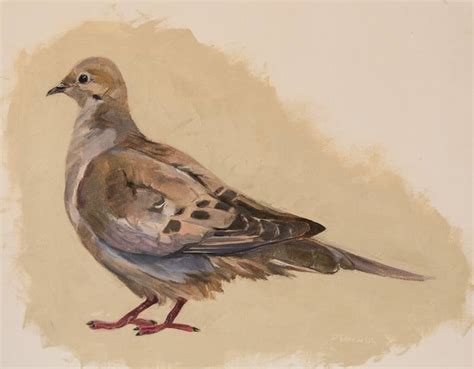 Mourning Doves By Claudette Eaton | lupon.gov.ph