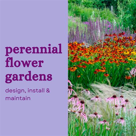 Perennial Flower Gardens: Design, Install, and Maintain