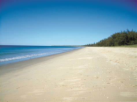 Coral Coast Pathways: Woodgate Beach Walk (14km) - Burrum Coast National Park, QLD