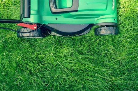 Lawn Mowing Tips: How to Mow a Lawn the Right Way