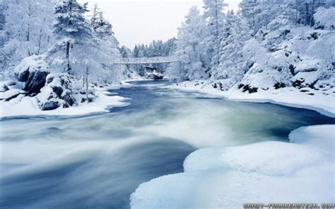 Winter Landscape Oulankajoki River - Winter Landscapes- WallpaperUse