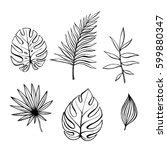 Leaf Outline Illustration Clipart Free Stock Photo - Public Domain Pictures