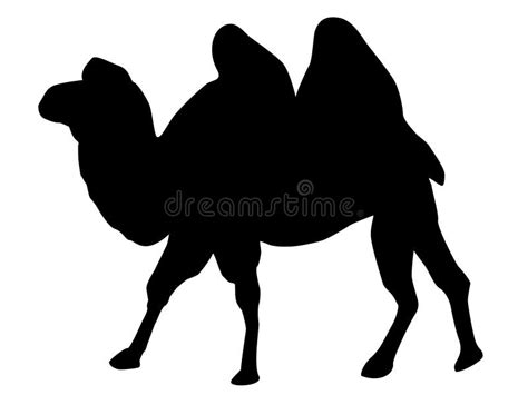 Black Silhouette of a Camel. Stock Illustration - Illustration of ...