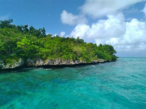 Isle aux Aigrettes - Review of Ile aux Aigrettes Nature Reserve ...