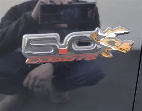 Does anybody know where I can find this badge? : r/Mustang