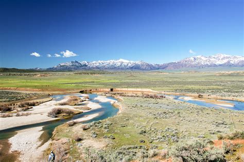 Fishing The East Fork Of Sevier River | Visit Utah