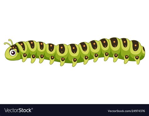 A caterpillar on white background Royalty Free Vector Image