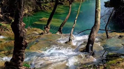 Relaxing River & Birdsong - Gently Burbling Water Stream - HD Nature Video - YouTube