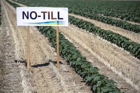 No-till tillage