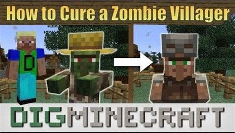 How to Cure a Zombie Villager in Minecraft | by Ellen Cooper | Medium