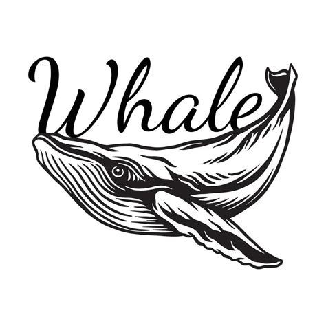 Whale animal vector art. isolated on white background 35219815 Vector Art at Vecteezy