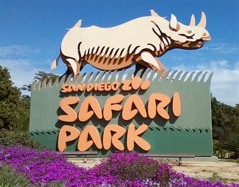 Ultimate Guide to the San Diego Zoo and San Diego Safari Park