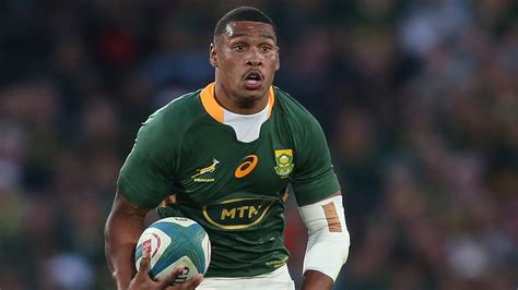 Springboks: Fly-half woes continue as Damian Willemse out of finale ...