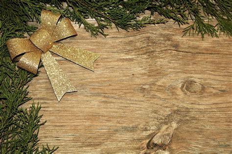 Gold Bow And Cedar Background Free Stock Photo - Public Domain Pictures