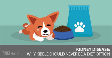 Kidney Disease And Prescription Kibble in 2020 | Renal dog food, Kidney diet for dogs, Kidney ...